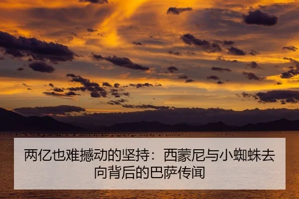 两亿也难撼动的坚持：西蒙尼与小蜘蛛去向背后的巴萨传闻